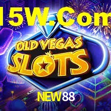 Programa VIP NEW88